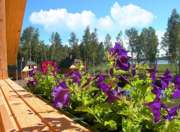 Holiday Complex Cirmas Ezerkrasts Ludza Habitación foto